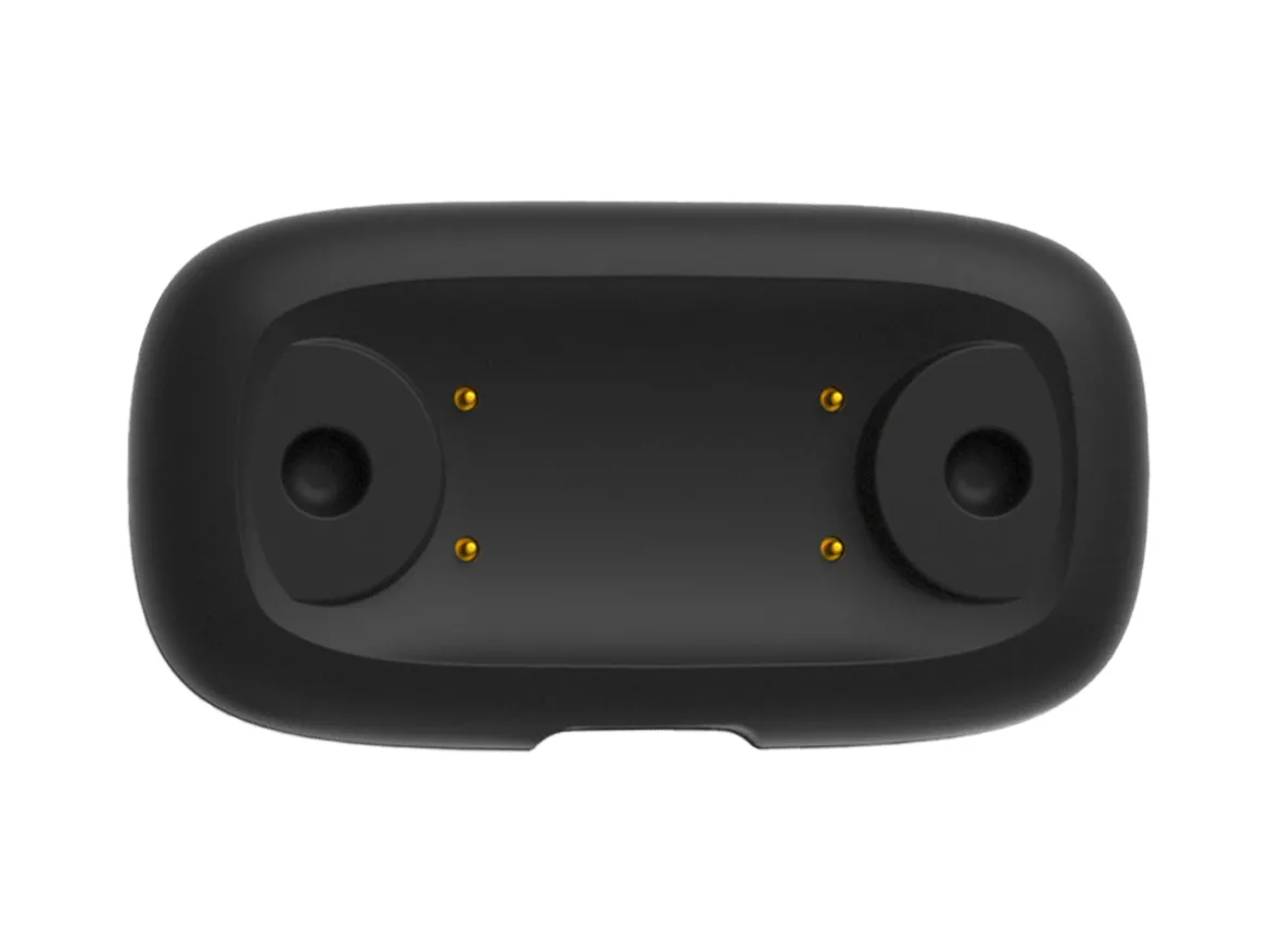 Charging accessory( for 29210061001)