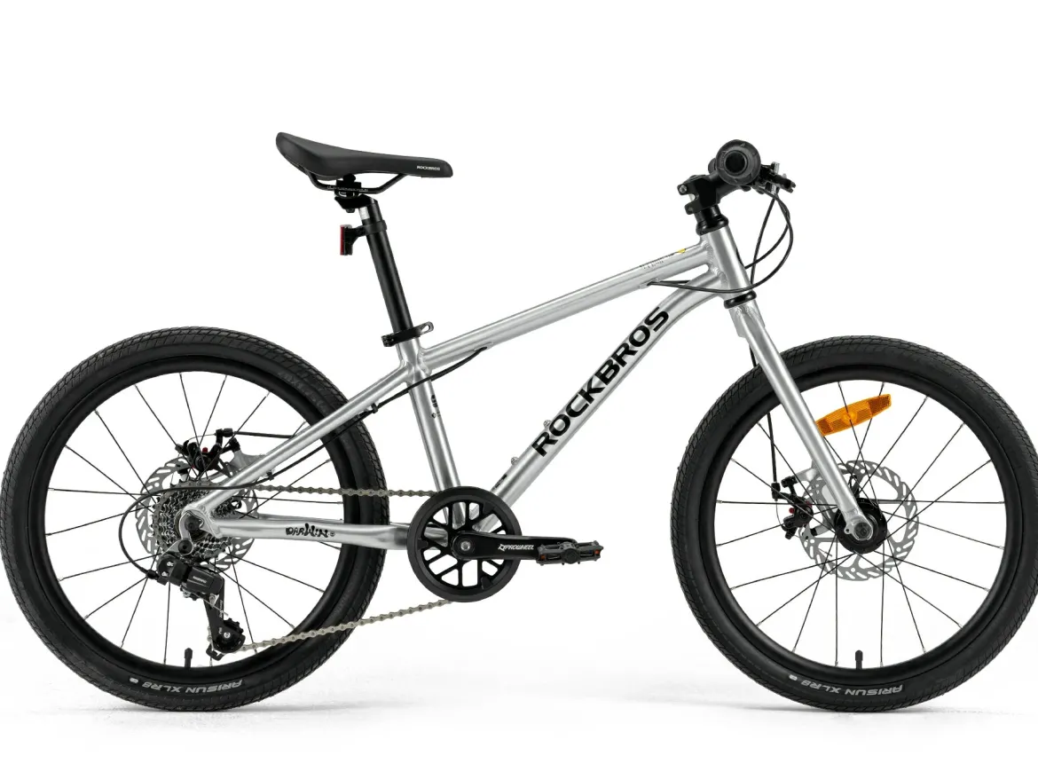 Darwin III 20-Inch Kids Bike