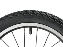Darwin II Kids Belt-Drive Bike 16"/20"