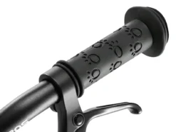 Darwin II Kids Belt-Drive Bike 16
