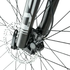 Darwin V 26-Inch Mountain Bike