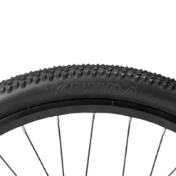 Darwin V 26-Inch Mountain Bike