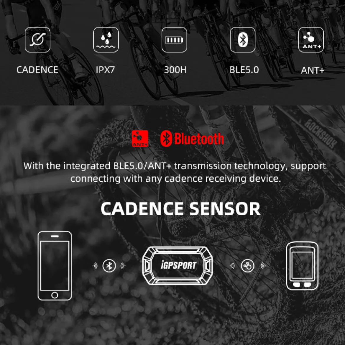 iGPSPORT Bike Speed & Cadence Sensor ANT+ Bluetooth 5.0 IPX7 Waterproof