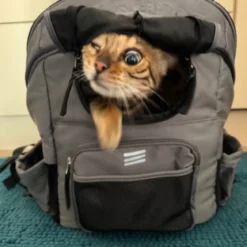 ROCKBROS Folding Bike Pet Bag Backpack