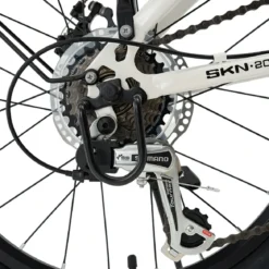 SKN - Folding Bike